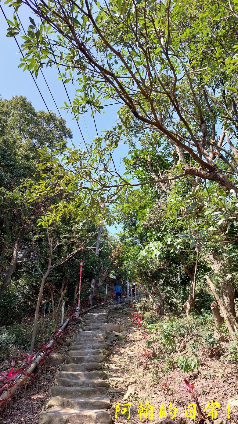 崎頭步道、義學坑步道 輕鬆O型走