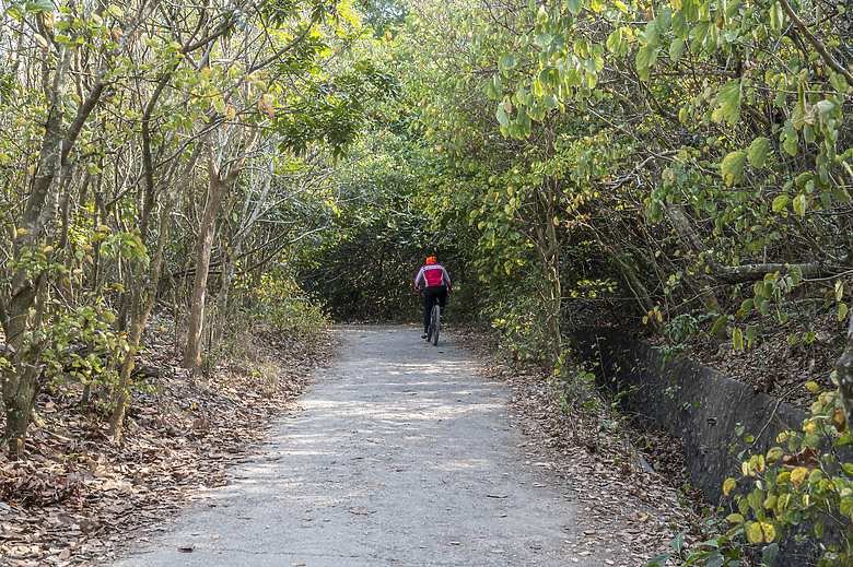 點我看大圖 假日半日遊-高雄柴山O型縱走