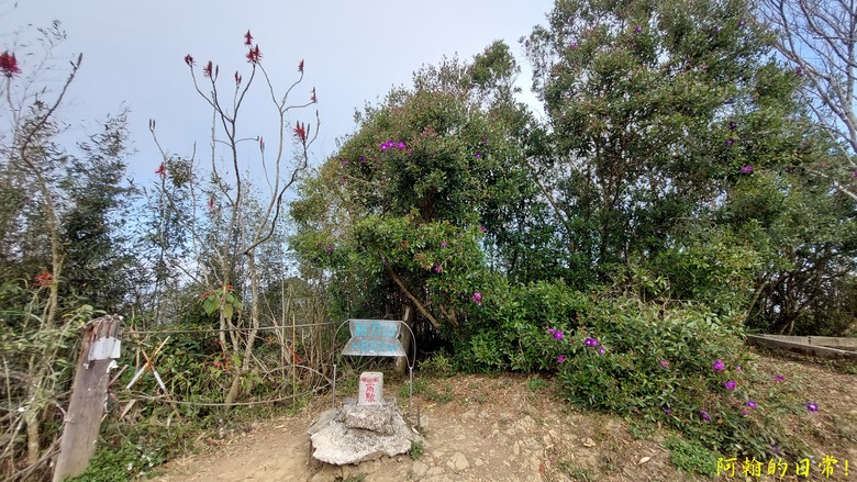 [苗栗 三義 大湖] 出關古道聖關段 關刀山 一日雙小百岳