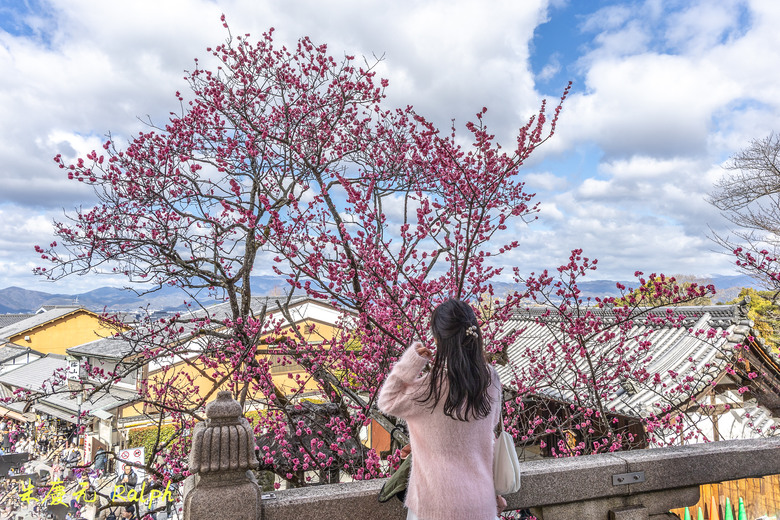 我的 R8+RF 24-50mm