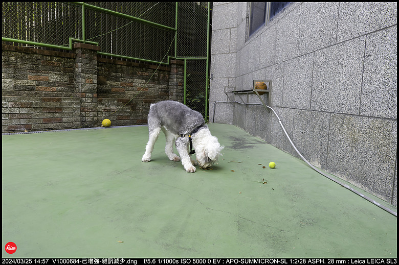【開箱】Leica SL3 10607，新增 【SL3 韌體更新 V1.1.9 修正檔案意外覆寫錯誤】