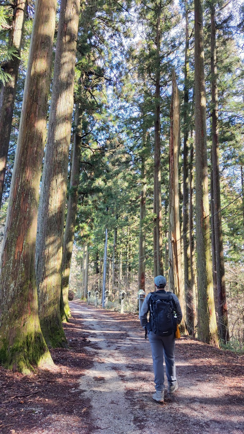 日本大阪第一高峰 | 金剛山 | 大阪不一樣的景點