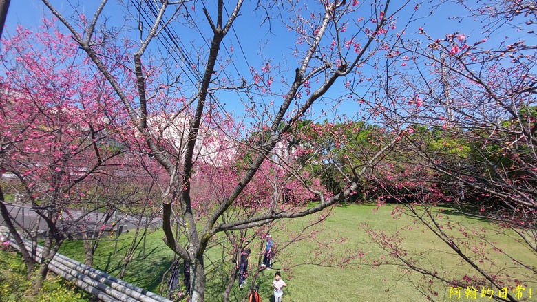 崎頭步道、義學坑步道 輕鬆O型走