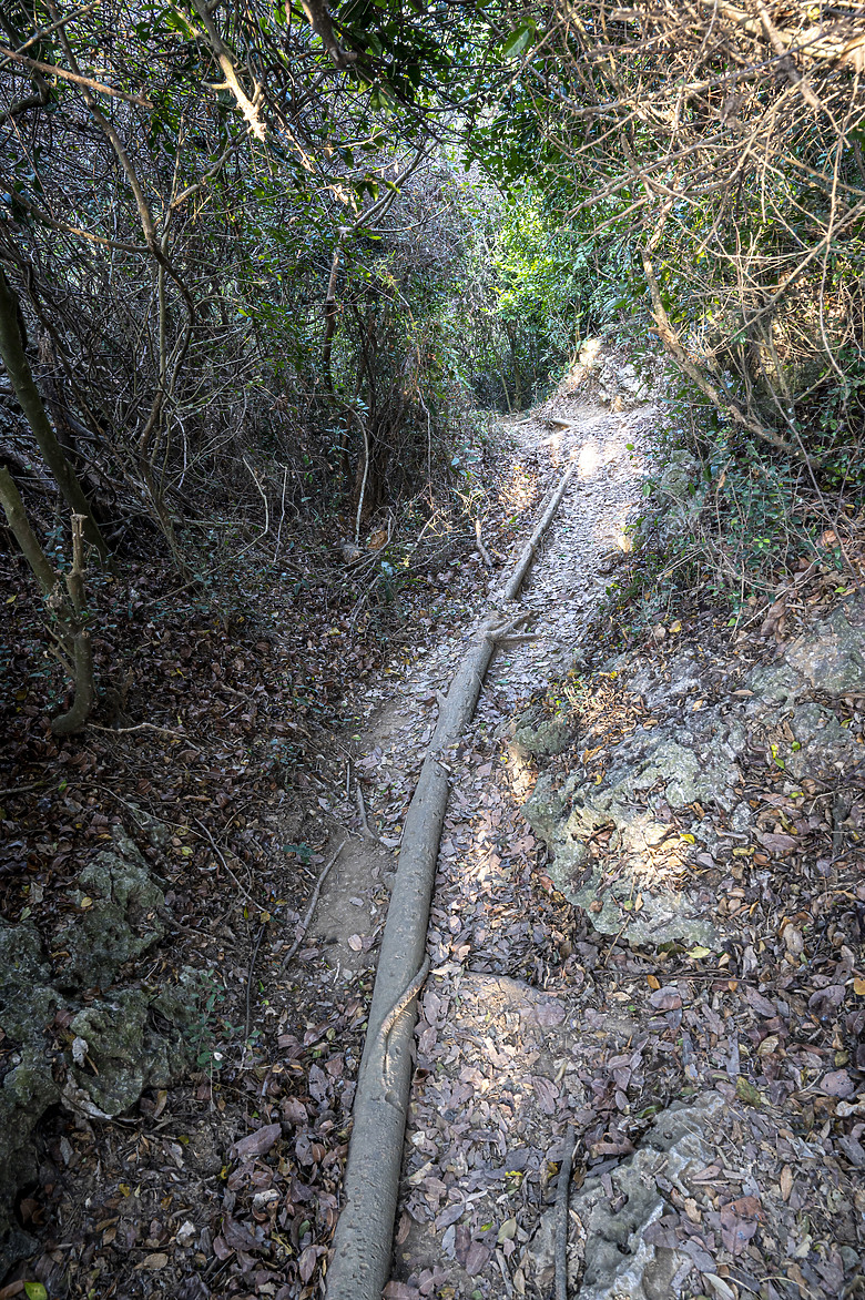 點我看大圖 假日半日遊-高雄柴山O型縱走