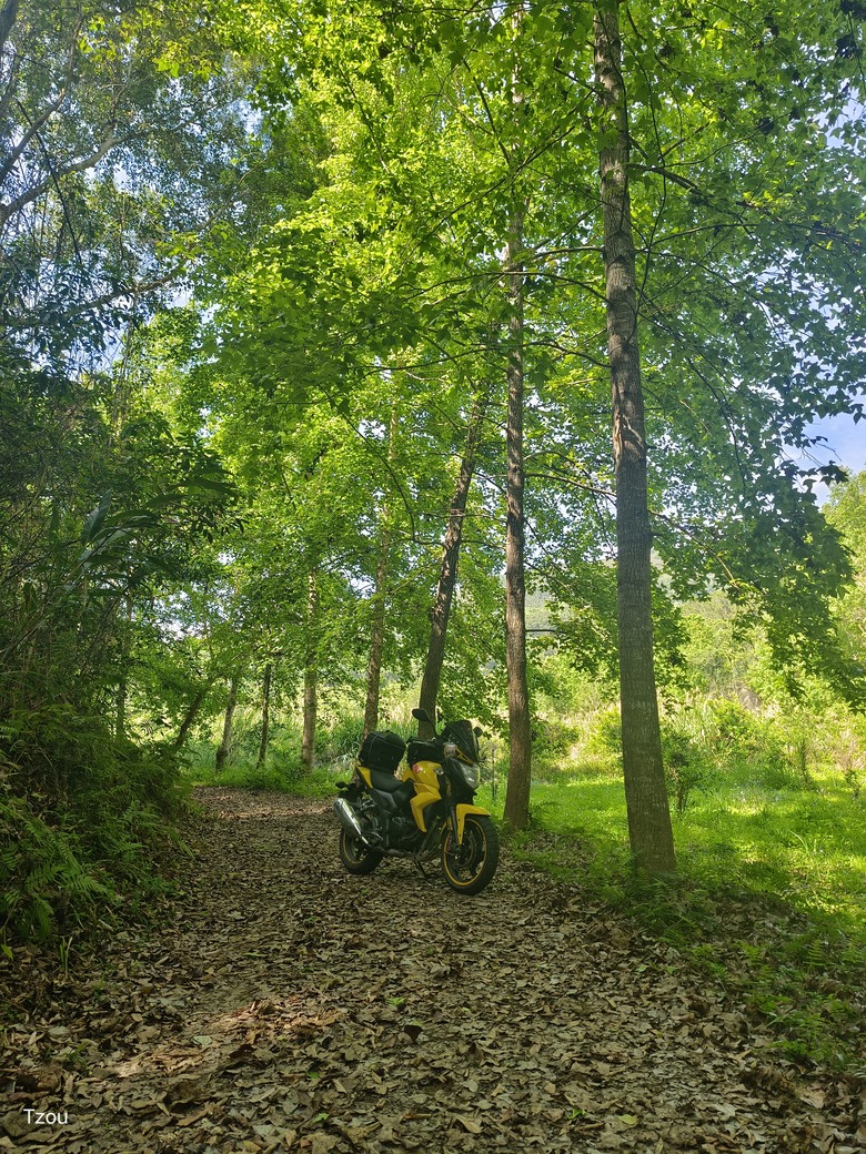 【跨界 Cross】 穿越舞鶴台地