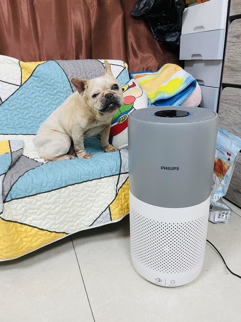 減少家裡狗毛的空氣清淨機