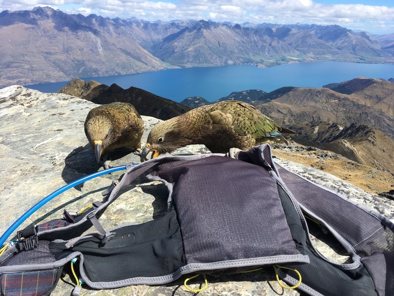 「瑜伽越野跑」暢遊 🇳🇿 紐西蘭 南島山海風光