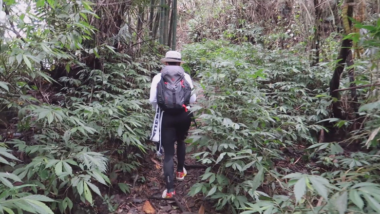 點我看大圖 【九凍雞縱走】這隻雞有夠嗆辣 | 九龍山 | 大凍山 | 雞籠山 |