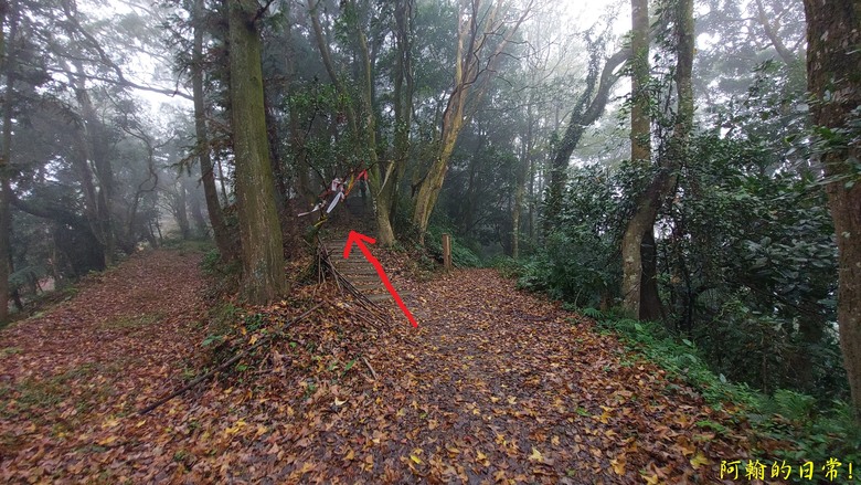 [苗栗 三義 大湖] 出關古道聖關段 關刀山 一日雙小百岳