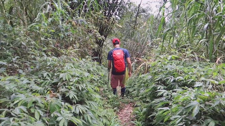 點我看大圖 【九凍雞縱走】這隻雞有夠嗆辣 | 九龍山 | 大凍山 | 雞籠山 |