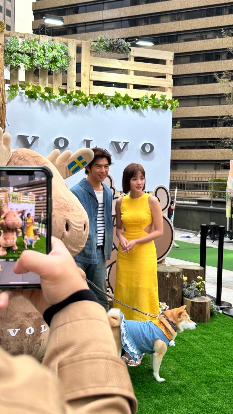 MILU寵物夜行，毛孩的道路安全值得被注意🐕