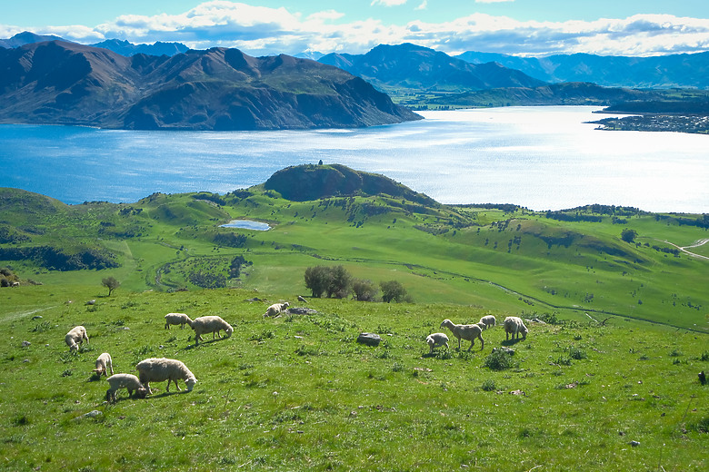 與New Zealand南島的11年之約(上)