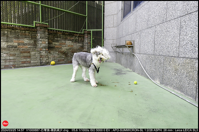【開箱】Leica SL3 10607，新增 【SL3 韌體更新 V1.1.9 修正檔案意外覆寫錯誤】