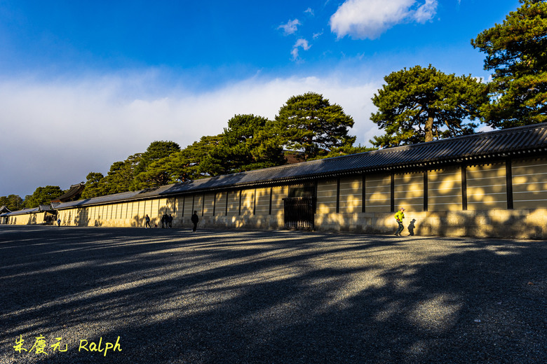 我的 R8+RF 24-50mm