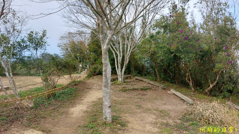 [苗栗 三義 大湖] 出關古道聖關段 關刀山 一日雙小百岳