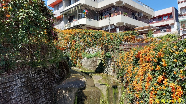 崎頭步道、義學坑步道 輕鬆O型走