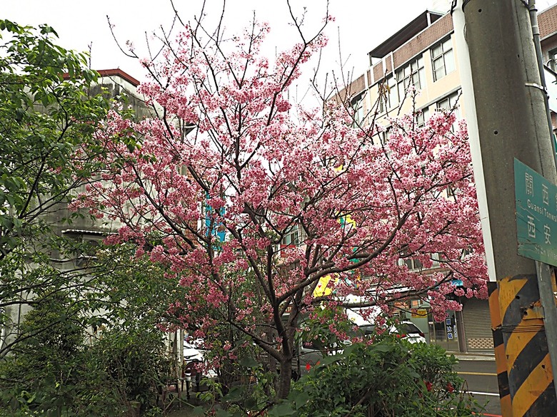 峨眉湖步道、細茅埔吊橋、富興老街、大自然文化世界、世界幸福咖啡總店-快樂咖啡坊，外掛關西一銀麵 — 浪漫臺三線之新竹峨眉湖半日行旅