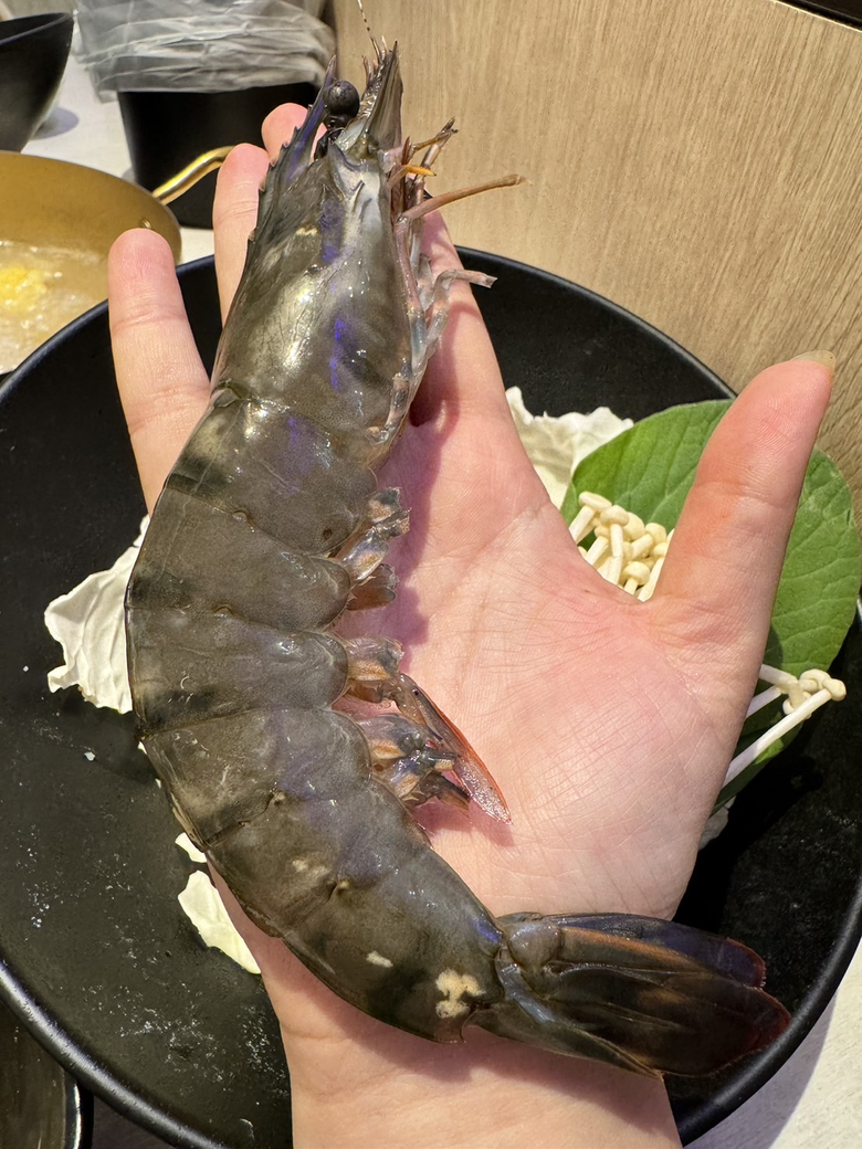 視覺與味覺的雙重享受-海牧水產鍋物