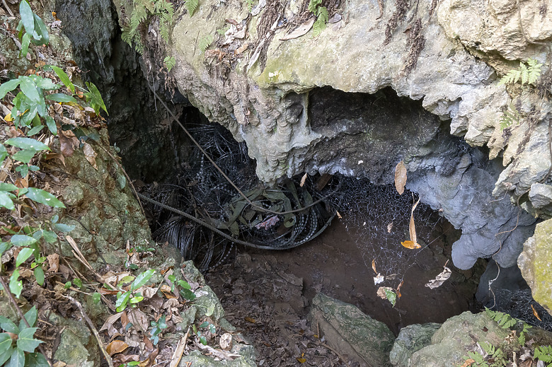 點我看大圖 假日半日遊-高雄柴山O型縱走