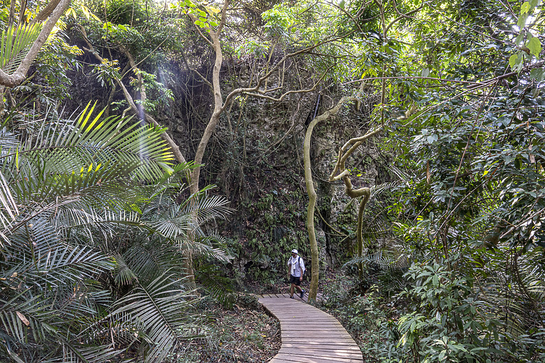 點我看大圖 假日半日遊-高雄柴山O型縱走
