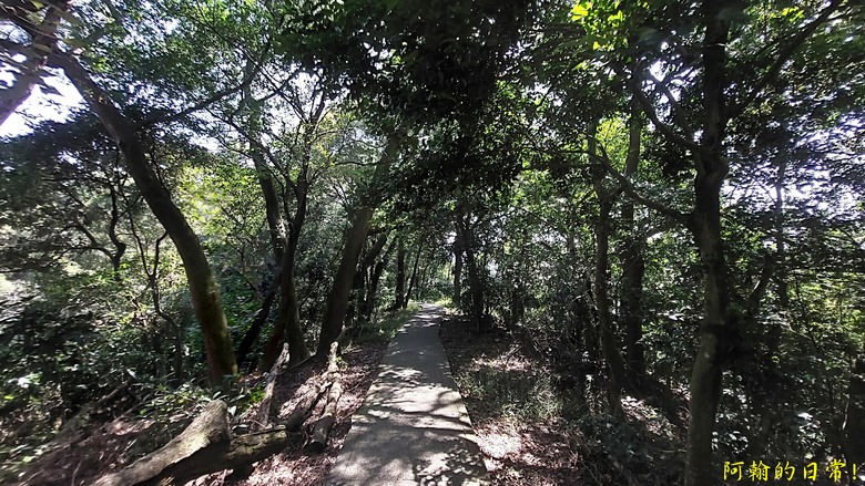 崎頭步道、義學坑步道 輕鬆O型走