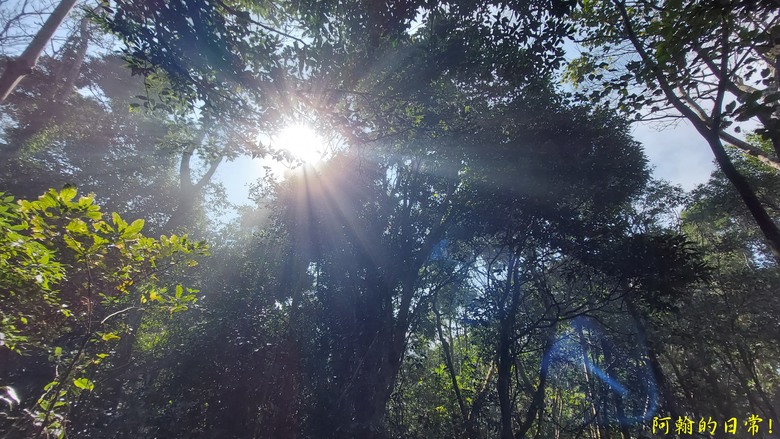 [苗栗 三義 大湖] 出關古道聖關段 關刀山 一日雙小百岳