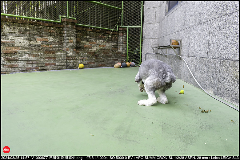 【開箱】Leica SL3 10607，新增 【SL3 韌體更新 V1.1.9 修正檔案意外覆寫錯誤】