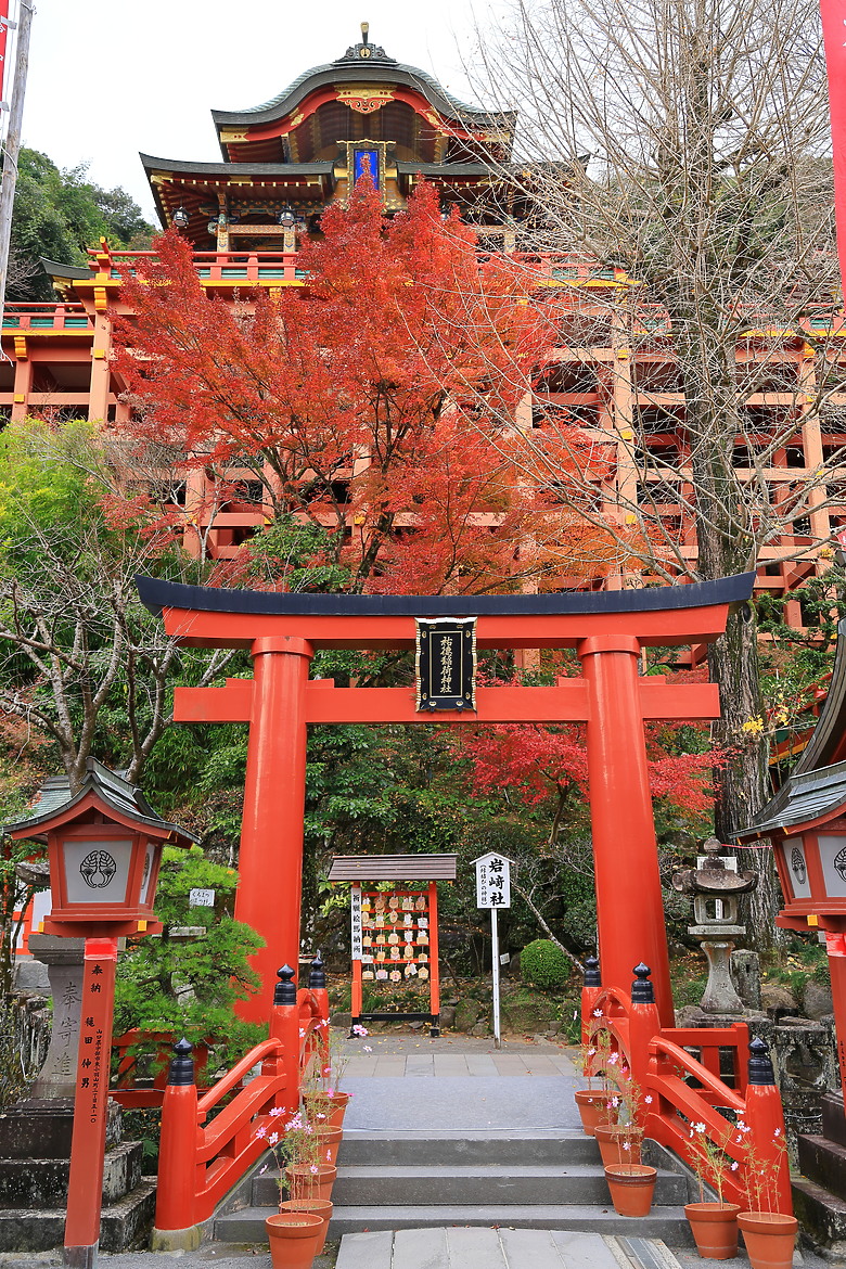 (映像旅行) 與可愛虎將一起大啖和牛賞楓紅in日本佐賀 feat.台灣虎航