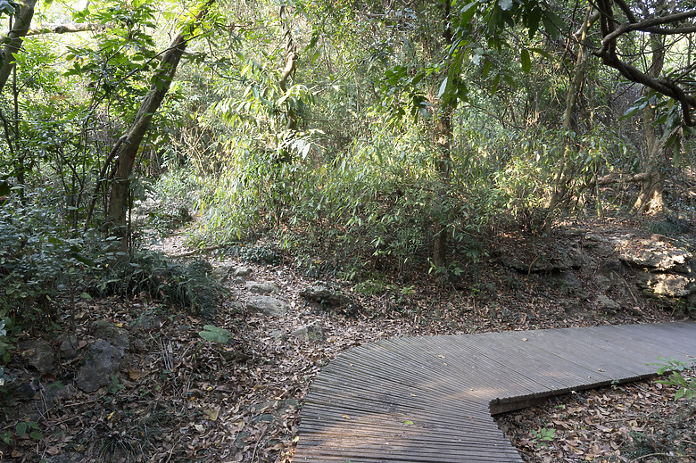 點我看大圖 假日半日遊-高雄柴山O型縱走