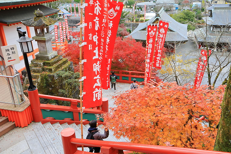 點我看大圖 (映像旅行) 與可愛虎將一起大啖和牛賞楓紅in日本佐賀 feat.台灣虎航