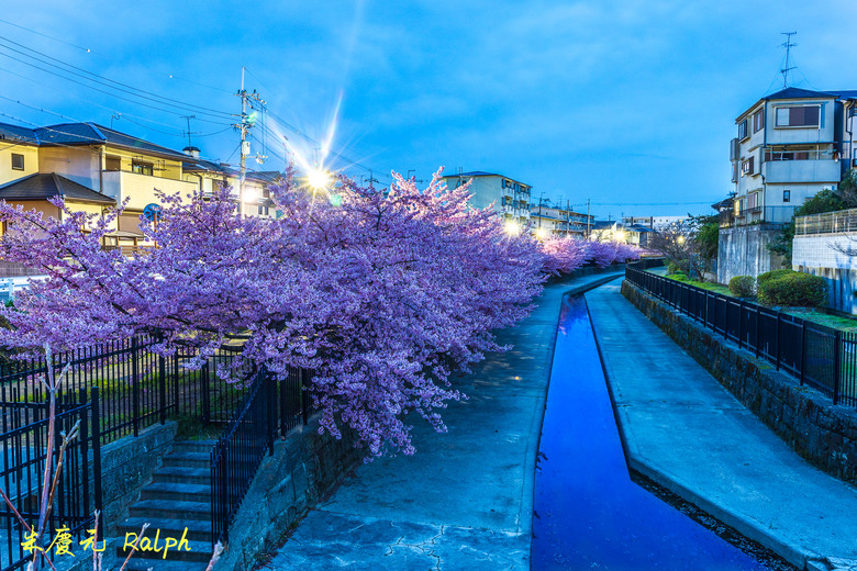 我的 R8+RF 24-50mm