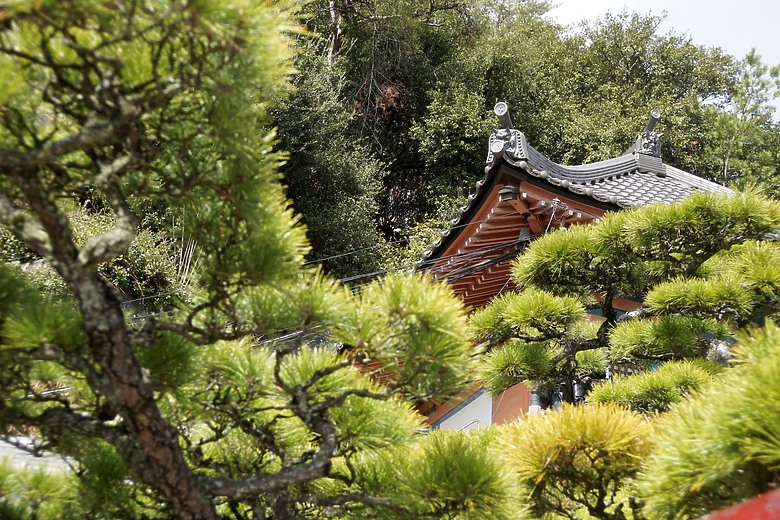 廣島、尾道、向島、因島 - 自駕行分享