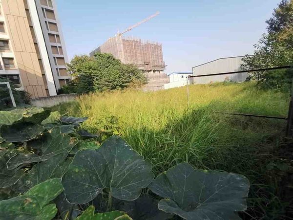 國產署標地上權麗寶獲半數，砸6.3億曝「未來都可能蓋住宅」