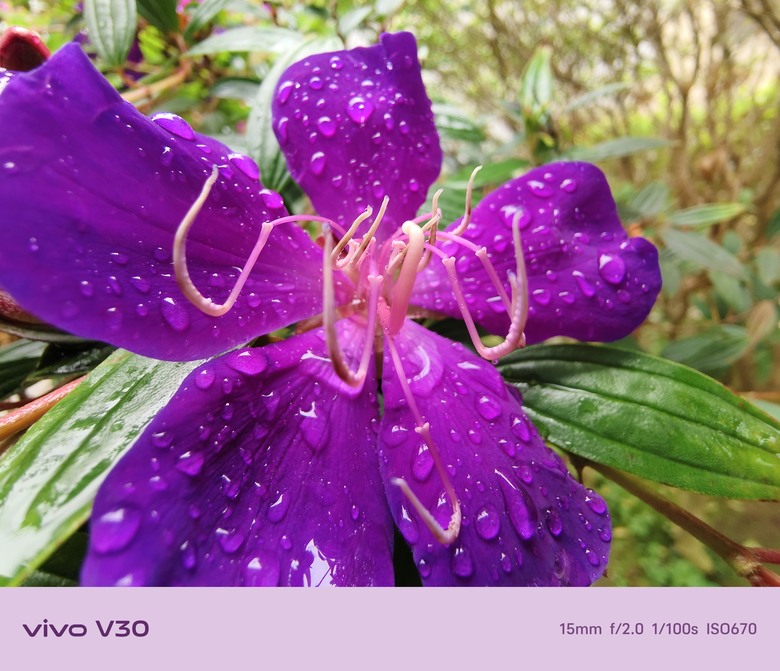 點我看大圖 V30入手後實拍心得