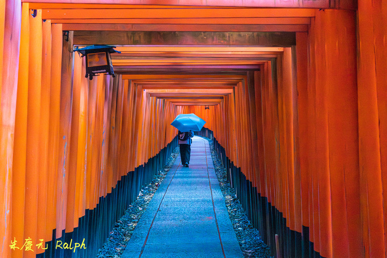 我的 R8+RF 24-50mm
