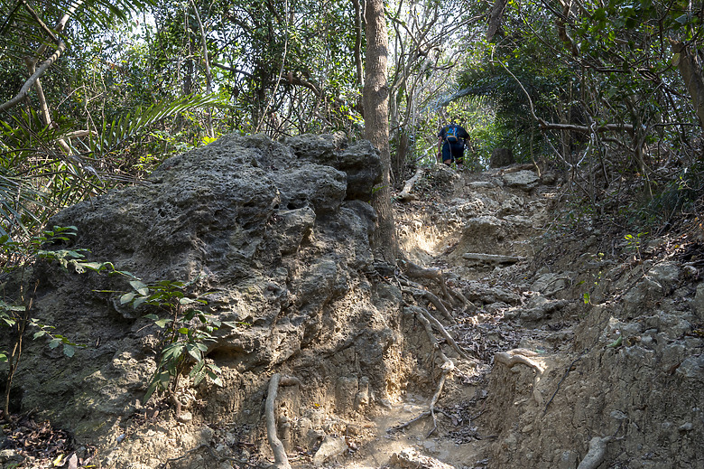 點我看大圖 假日半日遊-高雄柴山O型縱走