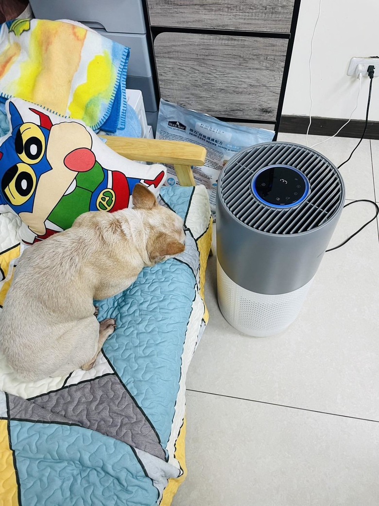 減少家裡狗毛的空氣清淨機