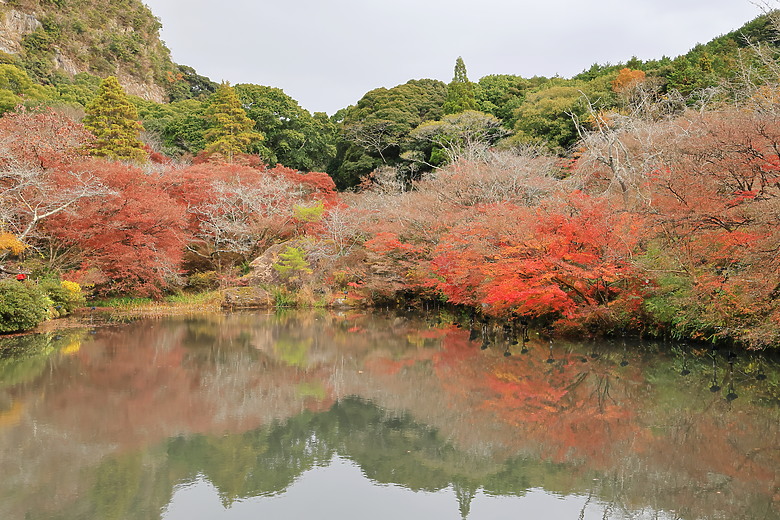 (映像旅行) 與可愛虎將一起大啖和牛賞楓紅in日本佐賀 feat.台灣虎航