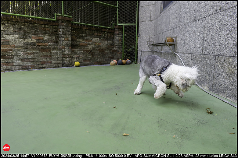 【開箱】Leica SL3 10607，新增 【SL3 韌體更新 V1.1.9 修正檔案意外覆寫錯誤】