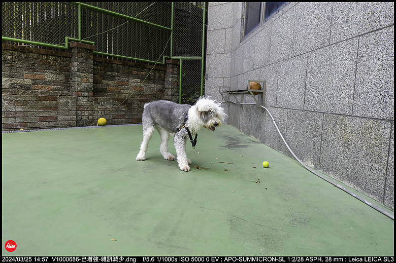 【開箱】Leica SL3 10607，新增 【SL3 韌體更新 V1.1.9 修正檔案意外覆寫錯誤】