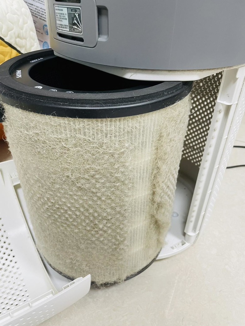 減少家裡狗毛的空氣清淨機