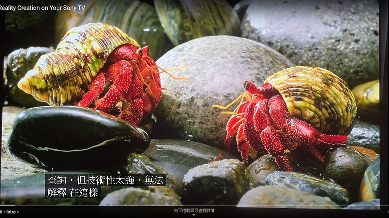 點我看大圖 索尼下一代 Mini LED 電視與眾不同! + XR 處理器和遊戲
