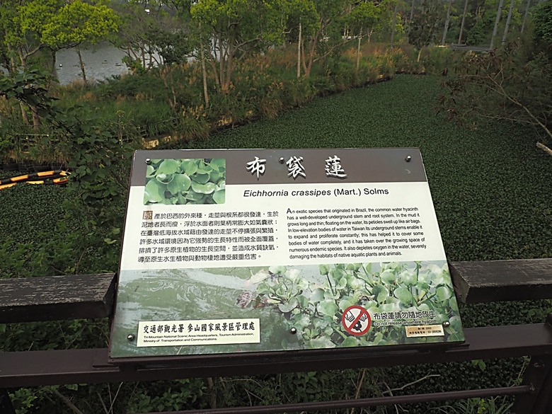 峨眉湖步道、細茅埔吊橋、富興老街、大自然文化世界、世界幸福咖啡總店-快樂咖啡坊,外掛關西一銀麵 — 浪漫臺三線之新竹峨眉湖半日行旅