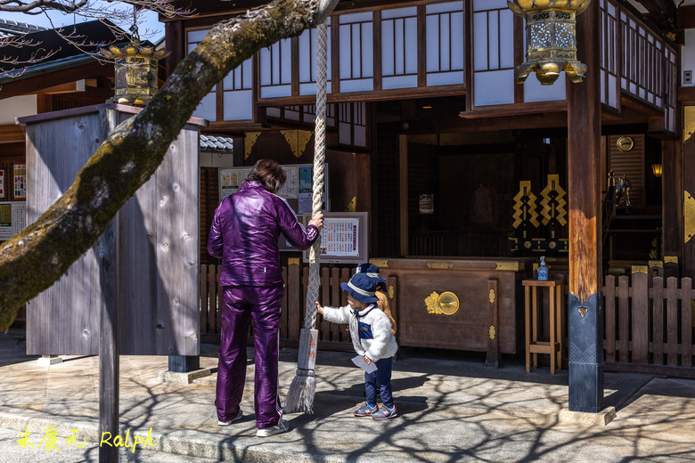我的 R8+RF 24-50mm