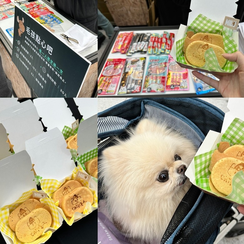 MILU寵物夜行，毛孩的道路安全值得被注意🐕