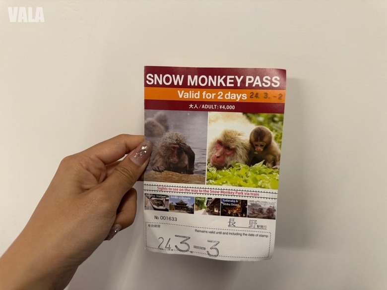地獄谷野苑公苑。看雪猴泡湯泡溫泉真的好療癒。最淺顯易懂交通攻略
