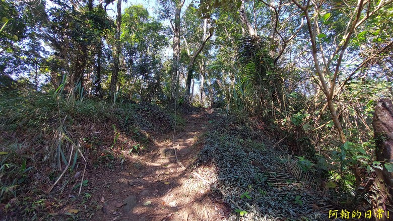 [苗栗 三義 大湖] 出關古道聖關段 關刀山 一日雙小百岳