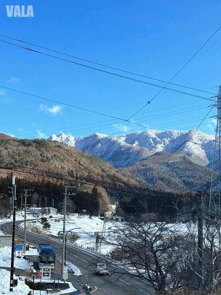 地獄谷野苑公苑。看雪猴泡湯泡溫泉真的好療癒。最淺顯易懂交通攻略