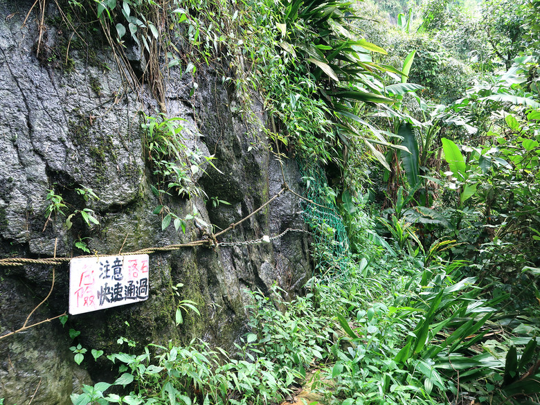點我看大圖 【九凍雞縱走】這隻雞有夠嗆辣 | 九龍山 | 大凍山 | 雞籠山 |