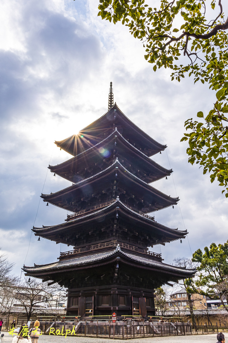 我的 R8+RF 24-50mm